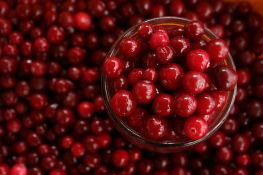 Studie zeigt, dass Cranberry-Produkte gegen Harnwegsinfektionen nützlich sind