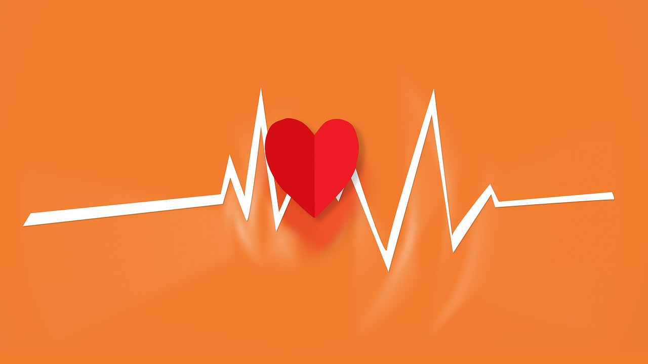Лучшие портативные ЭКГ-аппараты для мониторинга сердца в 2024 году: Heartbeat Companion