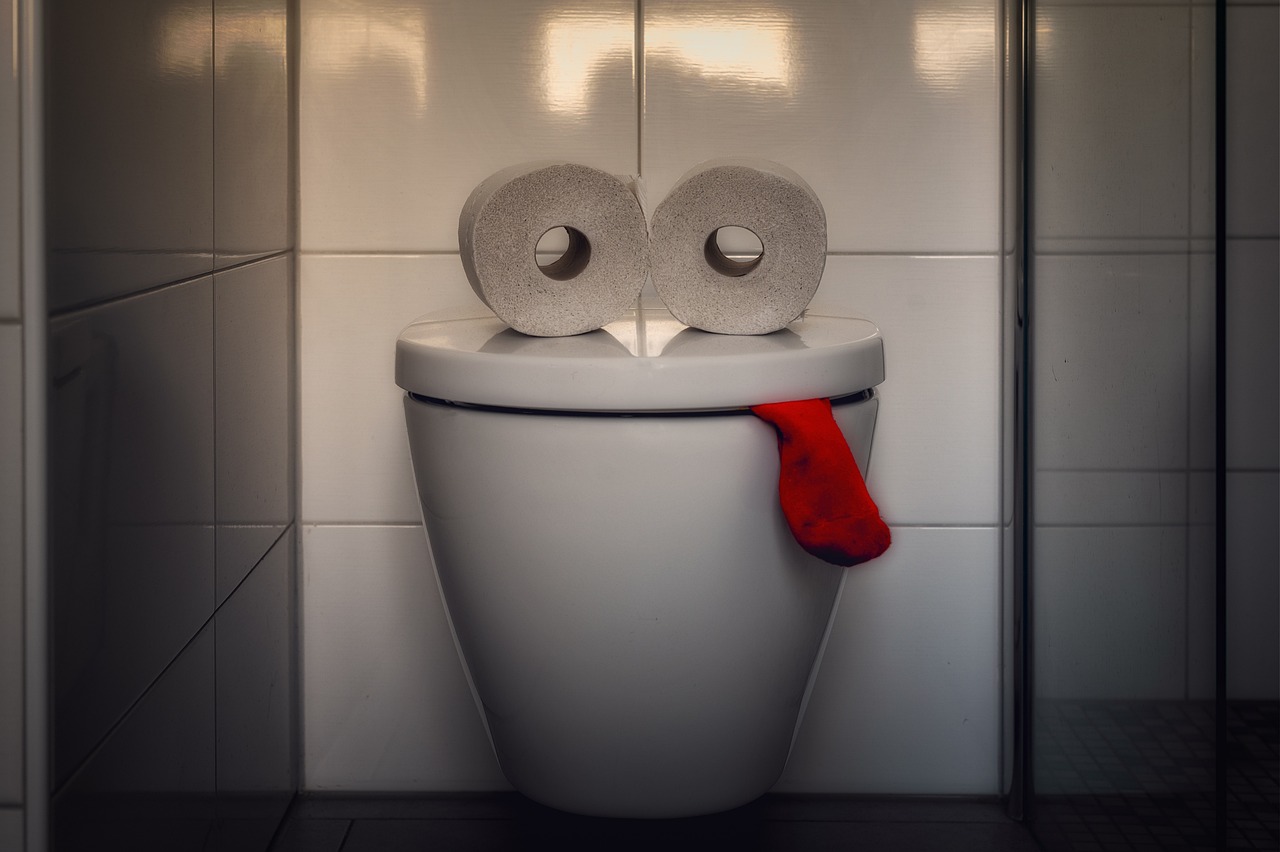 Sollten Sie den Toilettendeckel beim Spülen nach oben oder unten stellen? Das sagt eine Studie